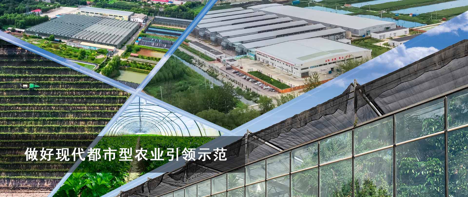 做好現代都市型農業示范引領